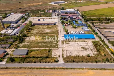 Teren industrial 16.000 mp lângă Autostrada A1 – Căteasca - foto 4