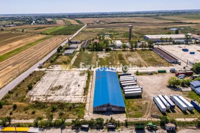 Teren industrial 16.000 mp lângă Autostrada A1 – Căteasca - foto 5
