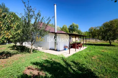 Proprietate deosebita cu doua case si teren generos – Cosesti, Arges - foto 3