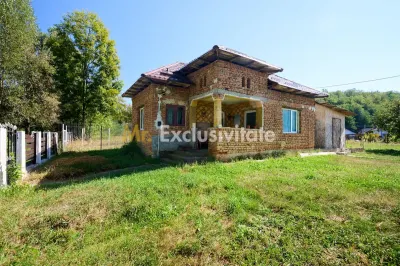 Proprietate deosebita cu doua case si teren generos – Cosesti, Arges - foto 5