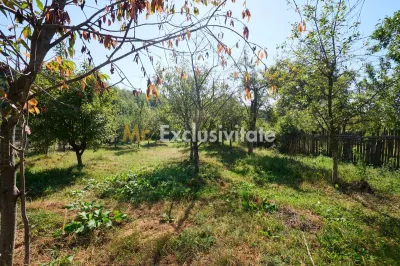 Proprietate deosebita cu doua case si teren generos – Cosesti, Arges - foto 8