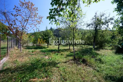 Proprietate deosebita cu doua case si teren generos – Cosesti, Arges - foto 9