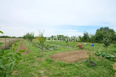 Casă cu teren generos – Vedea-Arges - foto 31