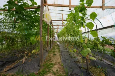 Casă cu teren generos – Vedea-Arges - foto 32