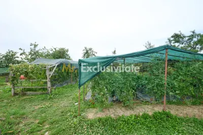 Casă cu teren generos – Vedea-Arges - foto 33