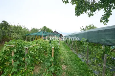 Casă cu teren generos – Vedea-Arges - foto 34