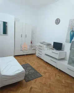 Apartament 1 camera Copou - foto 2
