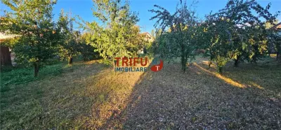 Teren intravilan de 1.000 mp – Micești, Alba Iulia - foto 3