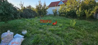 Teren intravilan de 1.000 mp – Micești, Alba Iulia - foto 4