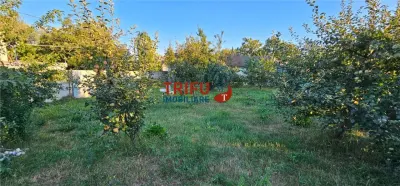 Teren intravilan de 1.000 mp – Micești, Alba Iulia - foto 6