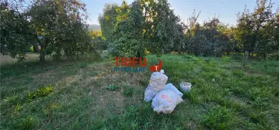 Teren intravilan de 1.000 mp – Micești, Alba Iulia - foto 7
