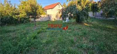 Teren intravilan de 1.000 mp – Micești, Alba Iulia - foto 8