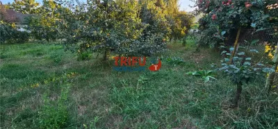 Teren intravilan de 1.000 mp – Micești, Alba Iulia - foto 9
