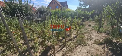 Casă cu teren de 1.603 mp – Bărăbanț, Alba Iulia - foto 23