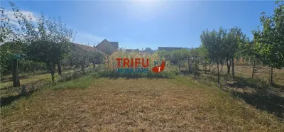 Casă cu teren de 1.603 mp – Bărăbanț, Alba Iulia - foto 24