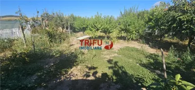 Casă cu teren de 1.603 mp – Bărăbanț, Alba Iulia - foto 25