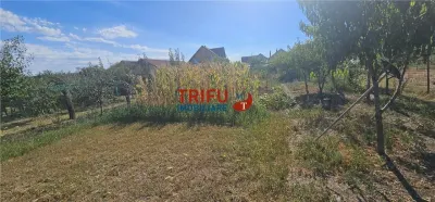 Casă cu teren de 1.603 mp – Bărăbanț, Alba Iulia - foto 26