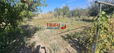 Casă cu teren de 1.603 mp – Bărăbanț, Alba Iulia - foto 27