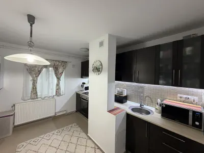 Decomandat, 83 mp, mobilat si utilat - Timisoara