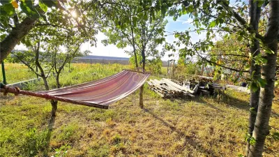 VIDEO | Casa individuala din 2017, cu 3 camere + 521 m² teren | Dorobantilor - foto 26