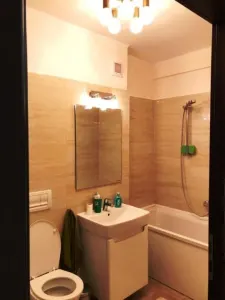 Inchiriem Apartament 2 Camere, Modern, Open Space, Grivitei - foto 7