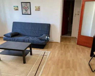 Inchiriere Apartament 2 Camere Semidecomandat Brancoveanu-Alunisului - foto 5