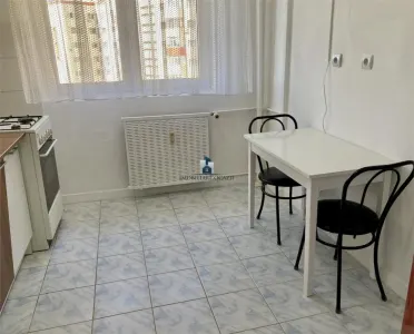 Inchiriere Apartament 2 Camere Semidecomandat Brancoveanu-Alunisului - foto 8