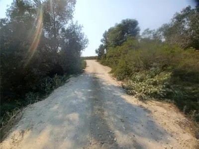 Teren Giurgiu- Adunatii Copaceni - foto 5