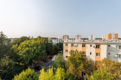 Apartament 3 camere decomandat, 2 balcoane și loc de parcare – Trivale - foto 8