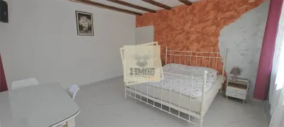 Casa 7 camere 5 bai in zona Rasinari - foto 13