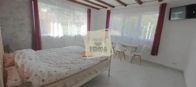 Casa 7 camere 5 bai in zona Rasinari - foto 14