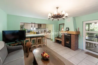 Casa vintage în com. Uliesti, jud. Dâmbovița cu livadă generoasă și anexă - foto 3