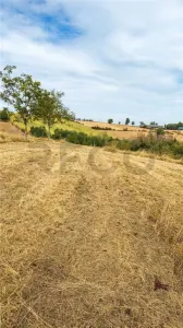 RECO Teren intravilan cu livada in Sinteu - foto 2