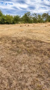 RECO Teren intravilan cu livada in Sinteu - foto 3