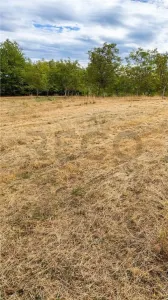 RECO Teren intravilan cu livada in Sinteu - foto 4