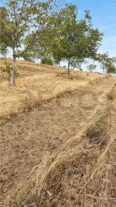 RECO Teren intravilan cu livada in Sinteu - foto 6