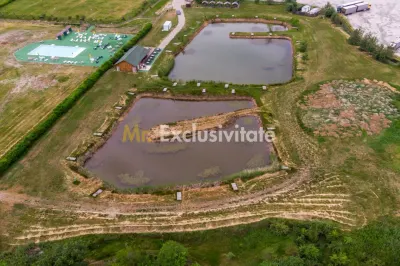 Afacere multifuncțională cu venituri imediate si potențial de extindere - foto 3