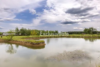 Afacere multifuncțională cu venituri imediate si potențial de extindere - foto 10