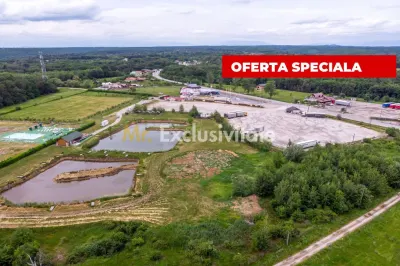 Motel, camping, piscina si lacuri de pescuit pe un teren de 49 285 mp - foto 2