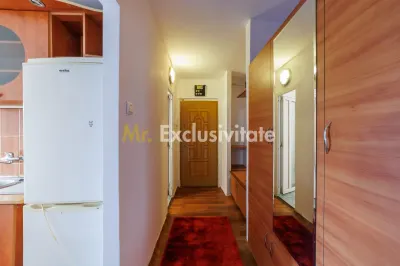 Garsonieră spațioasă în Tudor Vladimirescu - foto 10