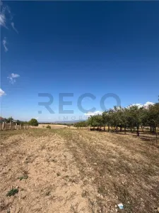 RECO Casa din caramida, Dobricionesti , Bihor - foto 11