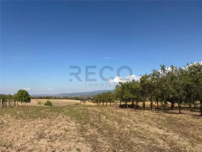 RECO Casa din caramida, Dobricionesti , Bihor - foto 8