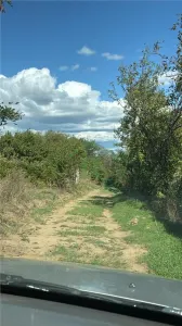 Livada - 4.000mp, zona Niscov, Carlomanesti! - foto 3