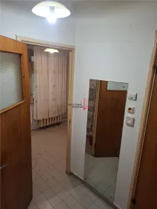 Garsoniera Dristor Kaufland Parter cu Balcon si Beci - foto 5