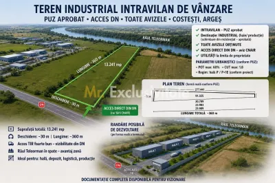 Teren industrial 13.241 mp | Costești, Argeș - foto 2