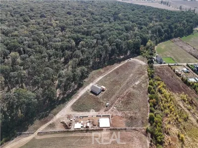 Terenuri de vanzare in Ciolpani, langa Padurea Snagov de la 459 mp - Ciolpani