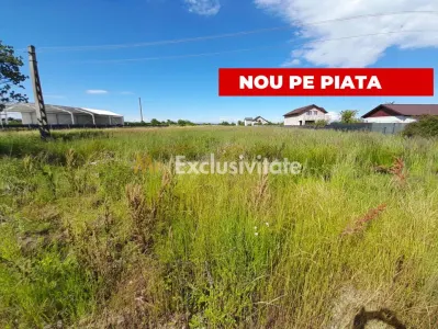 Teren intravilan Bradu 1312 mp 2 deschideri - foto 4