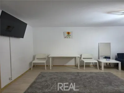 Garsoniera Camil Ressu - Dristor - foto 4