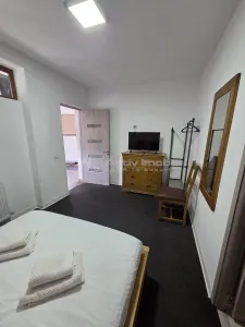 vila cu 3 apartam., spalatorie, teren 316 mp, Fedelesoiu, Daesti, Rm. Valcea - foto 12