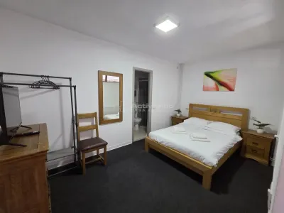 vila cu 3 apartam., spalatorie, teren 316 mp, Fedelesoiu, Daesti, Rm. Valcea - foto 9